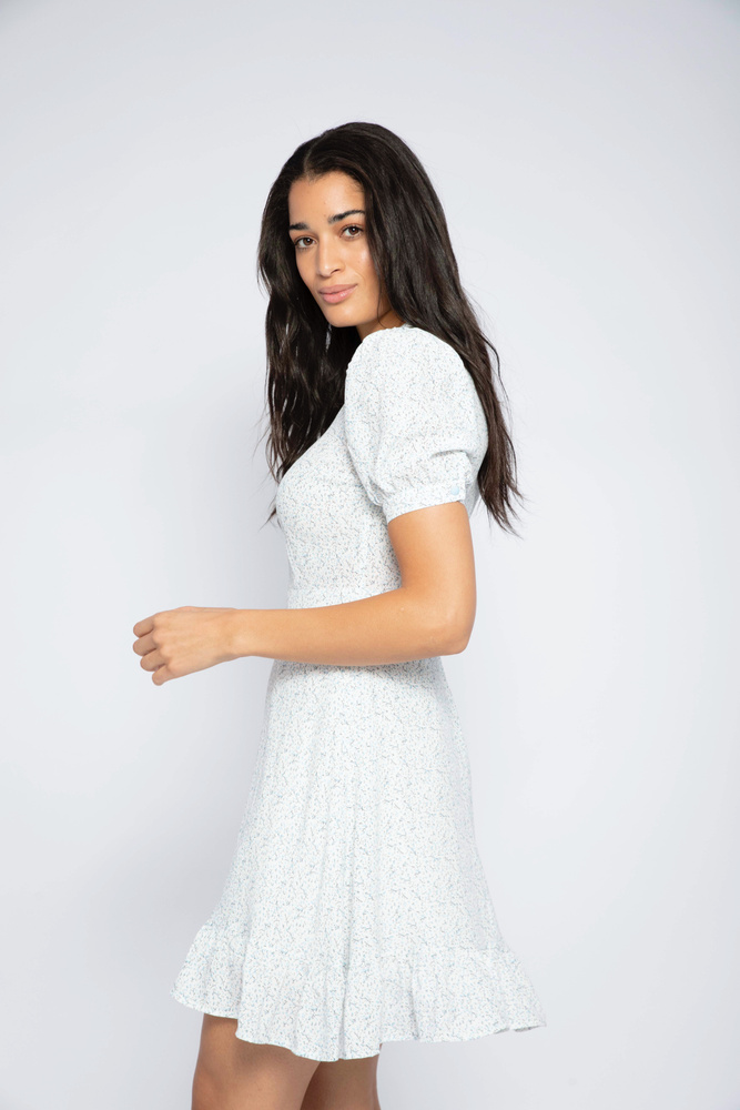 Venice Dress Blue Flower Print